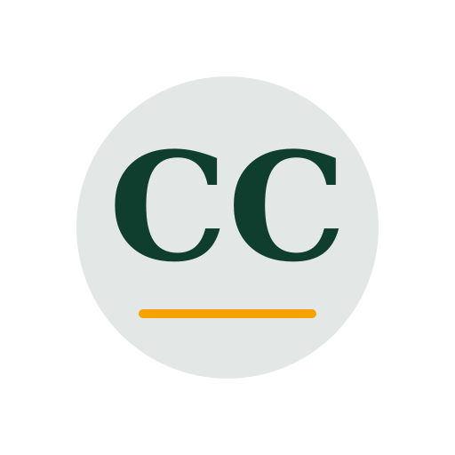 Chloe Chimney Services logo